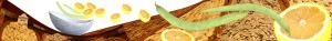 right eating habits lose weight naturally get healthy